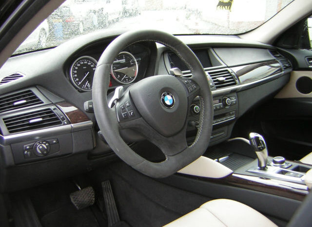 2011 BMW X6 xDrive40d full